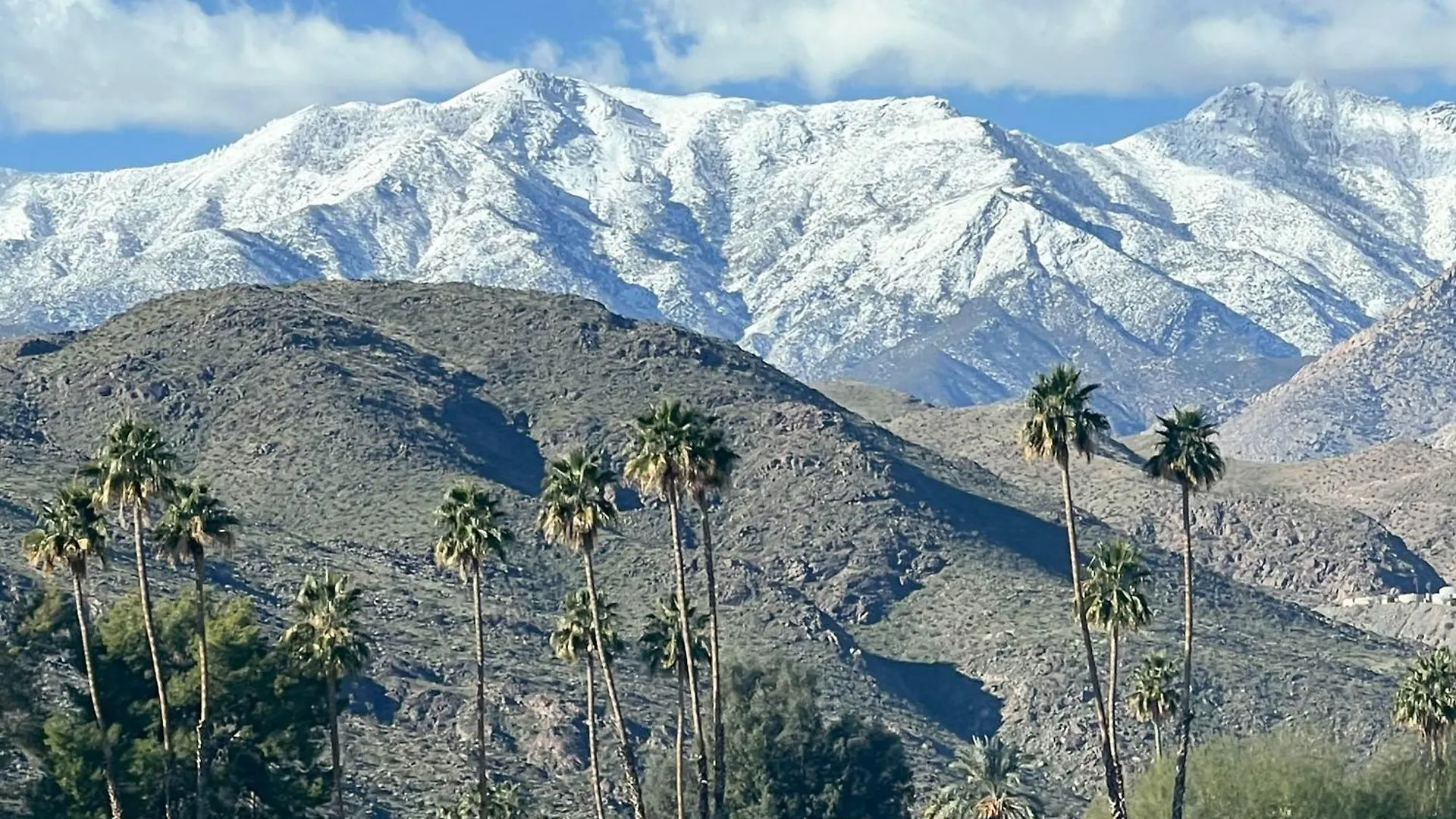 Palm Springs Royalty #4 - Permit #7022 Apartman  Palm Springs
